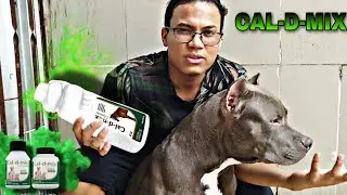 COMO USAR CAL-D-MIX NO SEU PIT MONSTER SUPLEMENTO