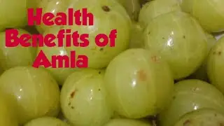 Health Benefits of Amla | Immunity Booster Eating benefits of Gooseberry Eyes ,Skin, Health