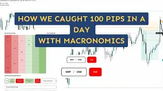 How we caught 100 pips with the help of Macronomics