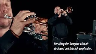 Die Trompete