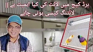 What is the importance of light in a bird cage || How should the lighting in bird cage?