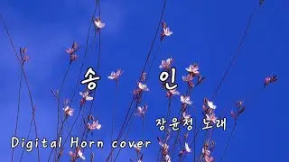 송 인 장윤정노래 Digital Horn cover 