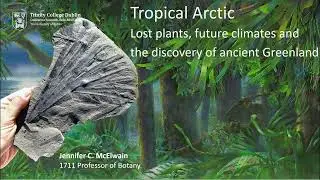 Tropical Arctic lost plants, future climates & the discovery of ancient Greenland