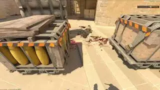 CS2 but it's fun