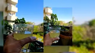 Homemade Amla Juice Ice Cubes | Quick & Nutritious Drink Hack | Preserve Freshness & Boost Health