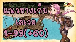 Nostale : แนวทางเก็บเลเวล 1 - 99(+60)
