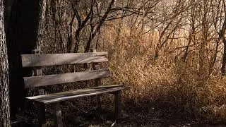 Hermosas melodias instrumentales cristianas - música de adoración ideal para meditar