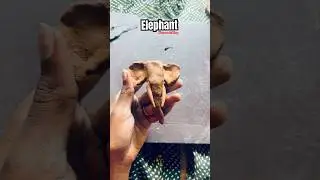 കുട്ടി ആനയുടെ face clay modelling കണ്ടാലോ🐘🫧#claymodeling#owndesign#fristday#elephant#clayart#clay