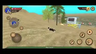 Dog Sim - Playing With Friends 3