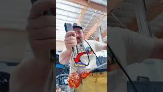 Mesmerizing Glass Art
