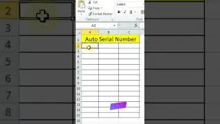 Auto Serial Number Excel #short