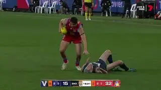AFL 2025 Legends Game - Mick Molloy tears shreds off Dave Hughes