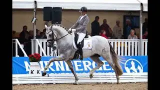 adiestramiento doma clasica de caballos