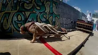 BullyMax: The dog food used by the World's Strongest Dogs