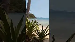 a cozy weather with beautiful view #beach #palawan #shorts