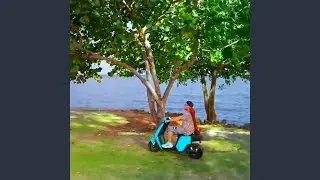 Turista