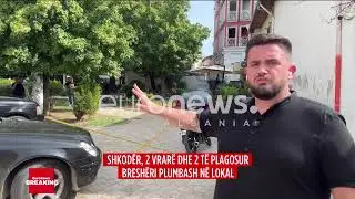 Tentoi t’i ikte policisë pas vrasjes së dyfishtë, autori bëri aksident me makinë