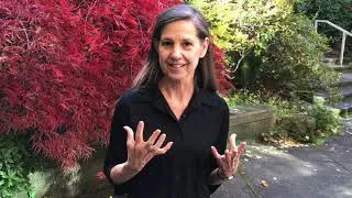 Come Sample and Improv Class Online