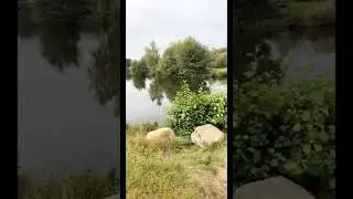 &Aring;dalen i Frederikssund #denmark #nature #shorts