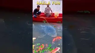 🎣 Strike Ganas di Perahu‼️ Pemancing Sampai Nyebur ke Air 🤯🔥