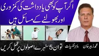 5 Best Ways To Improve Your Memory And Concentration In Urdu