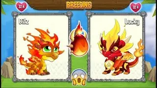 NEW BREEDING: Double Flame Dragon & Pure Flame Dragon | DRAGON CITY 😍