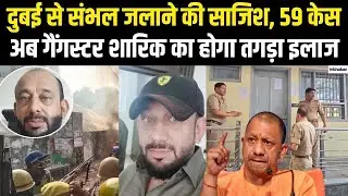 UP News: Dubai में छिपा गैंगस्टर Sharik Satha,संभल पुलिस की बड़ी कार्रवाई! अब चलेगा बुलडोजर |CM Yogi