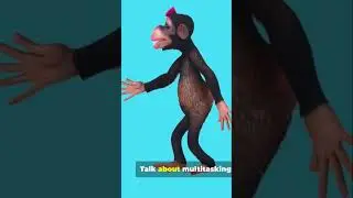 Some fun facts about monkeys you might not have known