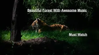MUST WATCH | Beautiful Forest, Awesome Music, Stress Relief, Better Mood [ Joyous Soul ]