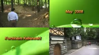 Kellerwald 