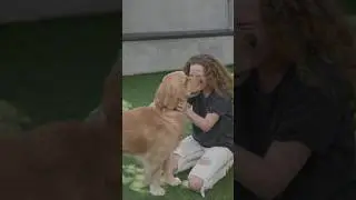 03 Destinos verdadeiramente Pet Friendly em SP, MG e RJ!