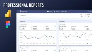 Want to Build Professional Looking Power BI Reports?