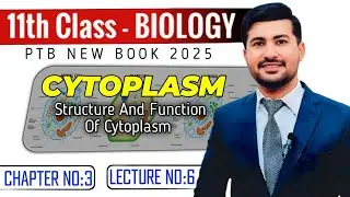 Cytoplasm Explained | Function & Composition | Class 11 Biology chapter 3