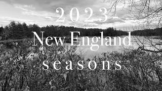 Changing Seasons in New England | 2023 Season Recap | Aesthetics of Olive
