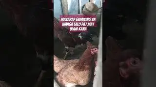 Ulam jan lang may gulay pa#shortsvideo #shorts