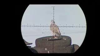 Pest Control - FX Impact M4