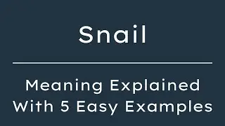 What Does Snail Mean? Snail Meaning in English With 5 Example Sentences