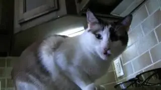 Egon's Open Mouth