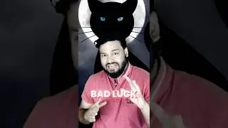 If CAT CROSSES Your Road, Why is it Called BAD LUCK? Superstition&nbsp;Decoded&nbsp;#shorts
