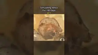 Simulating Africa for 100 Days pt6 🌵