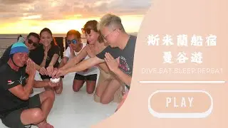 2023-11 斯米蘭船宿 潛水 鯨鯊來了～～