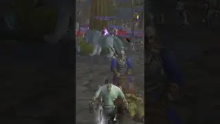 Doakes pelts Stormwind baker with snowballs before ending him #turtlewow