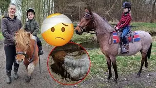 Nayra KOLIEK, Evina gaat WESTERN rijden en nieuwe ruiter!?||vlog103