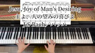 Jesu, Joy of Man's Desiring ：主よ、人の望みの喜びよ／J.S. BACH ：バッハ　【ぷりんと楽譜中級】　　piano：TOMOMI KOGUREピアノ演奏：木暮知実