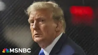 'Detrimental to reputation': Judge Merchan says Trump's lawyer is 'losing all credibility'