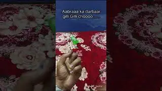 Aabraa ka dabraaaa gilliiiiii chooooooo......