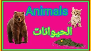 Animals in arabic |name of animals in arabic
