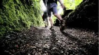 Walking Legends: New Zealand Best Guided Walks and Hiking Tours