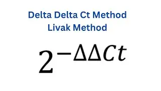 How to calculate Relative gene expression in qPCR using Delta Delta Ct method | Livak Method