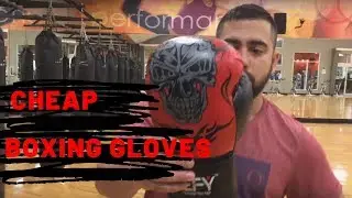 Economic and Cheap Boxing GloveS Review DEFY Boxing Gloves for Training MMA Muay